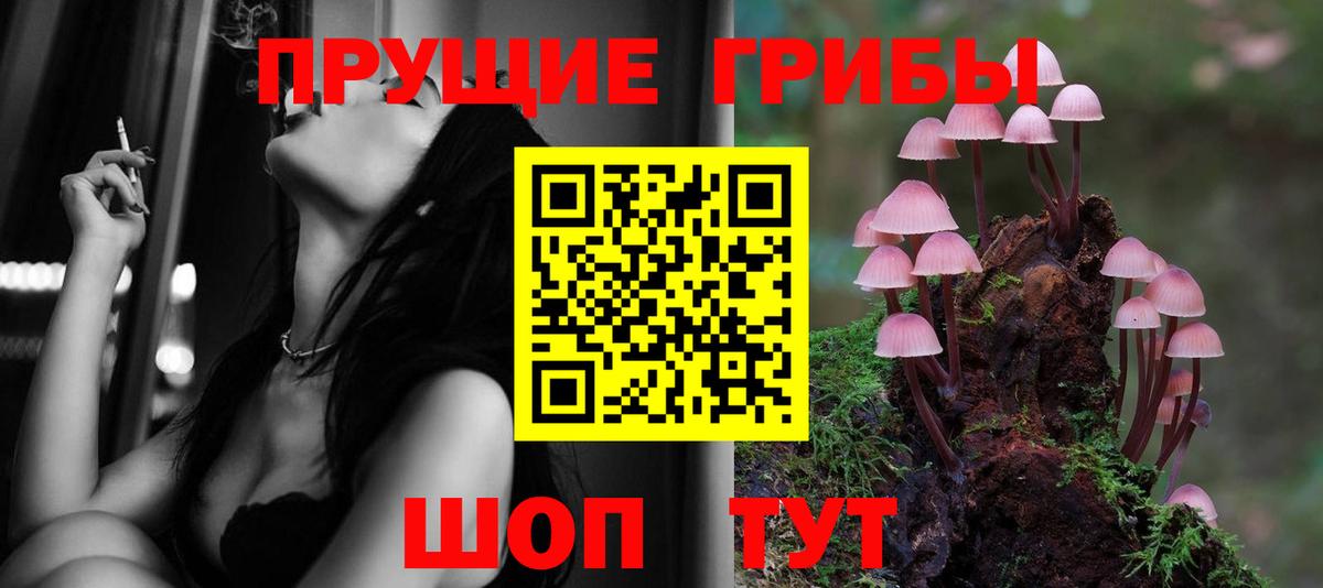 Галлюциногенные грибы Magic Shrooms Химки