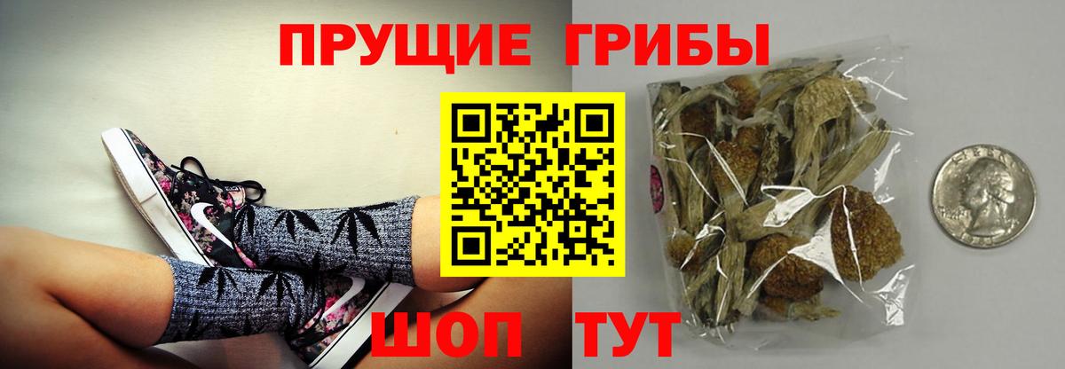 Псилоцибиновые грибы мицелий  Вход с VPN  Псилоцибиновые грибы GOLDEN TEACHER  закладки  Химки 